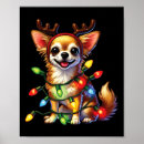 Search for pet lovers posters Funny