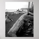 Search for bw posters White