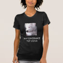 Search for bsl Ban