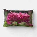 Search for fuschia pink cushions Garden