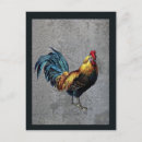 Search for barnyard postcards Colourful