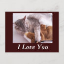 Search for veterinary postcards Kitty