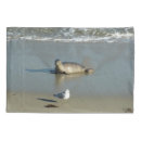 Search for seal pillowcases Wildlife