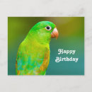 Search for party parrots postcards Green
