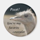 Search for counsellor magnets Teacher