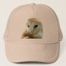 Search for barn hats Wild birds