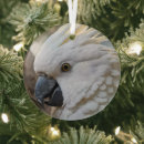 Search for cockatoos christmas tree decorations White