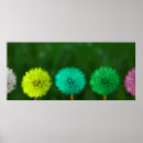 Search for multicoloured posters Blue