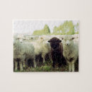 Search for sheep puzzles Rural scene