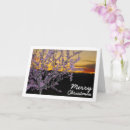 Search for almonds cards Tree