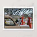 Search for pumps postcards Cat
