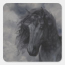 Search for black stallion stickers Wild