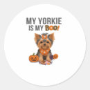 Search for my boo stickers Dog