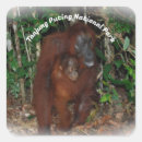 Search for national animal stickers Rainforest