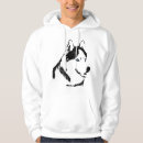 Search for alaskan malamute clothing Siberian husky