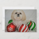 Search for shih tzu christmas cards No people