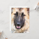 Search for german shepherd invitations Gsd