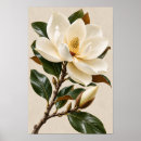 Search for magnolia art Floral