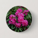 Search for rhododendron badges Pink