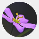 Search for preservation stickers Usa