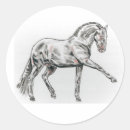 Search for andalusian horse Spanish