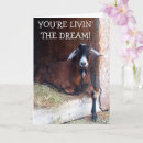 Search for funny goat birthday cards Cute