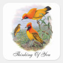 Search for golden bird stickers Animal
