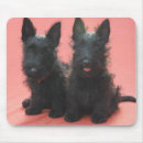 Search for scottie mousepads Puppy