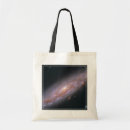 Search for spiral galaxy bags Science