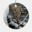 Search for bobcat christmas tree decorations Snow