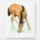 Search for foals mousepads Pony