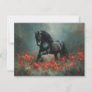 Search for friesian postcards Horse