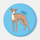 Search for english magnets Dog