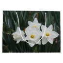 Search for daffodil gift bags White