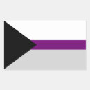 Search for demisexual stickers Flag
