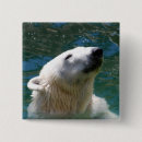 Search for polar bear badges Cub