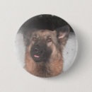 Search for german shepherd dog badges Pets