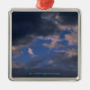 Search for snow weather christmas tree decorations Nature