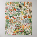Search for adolphe millot posters Botanical