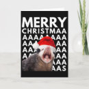 Search for possum christmas cards Tree