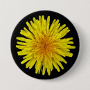 Search for sunny badges Yellow