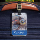 Search for turtle luggage tags Hawaii