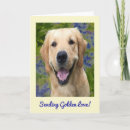 Search for golden retriever cards Thinking of you