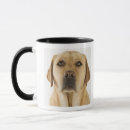 Search for dog shot mugs Togetherness