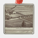 Search for agriculture christmas tree decorations County