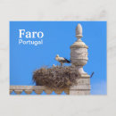 Search for faro postcards Algarve