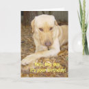 Search for big dog birthday cards Humour