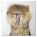 Search for roar tiles Cat