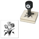 Search for tulips rubber stamps Botanical
