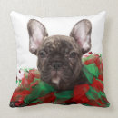 Search for french bulldog christmas cushions Young animal
